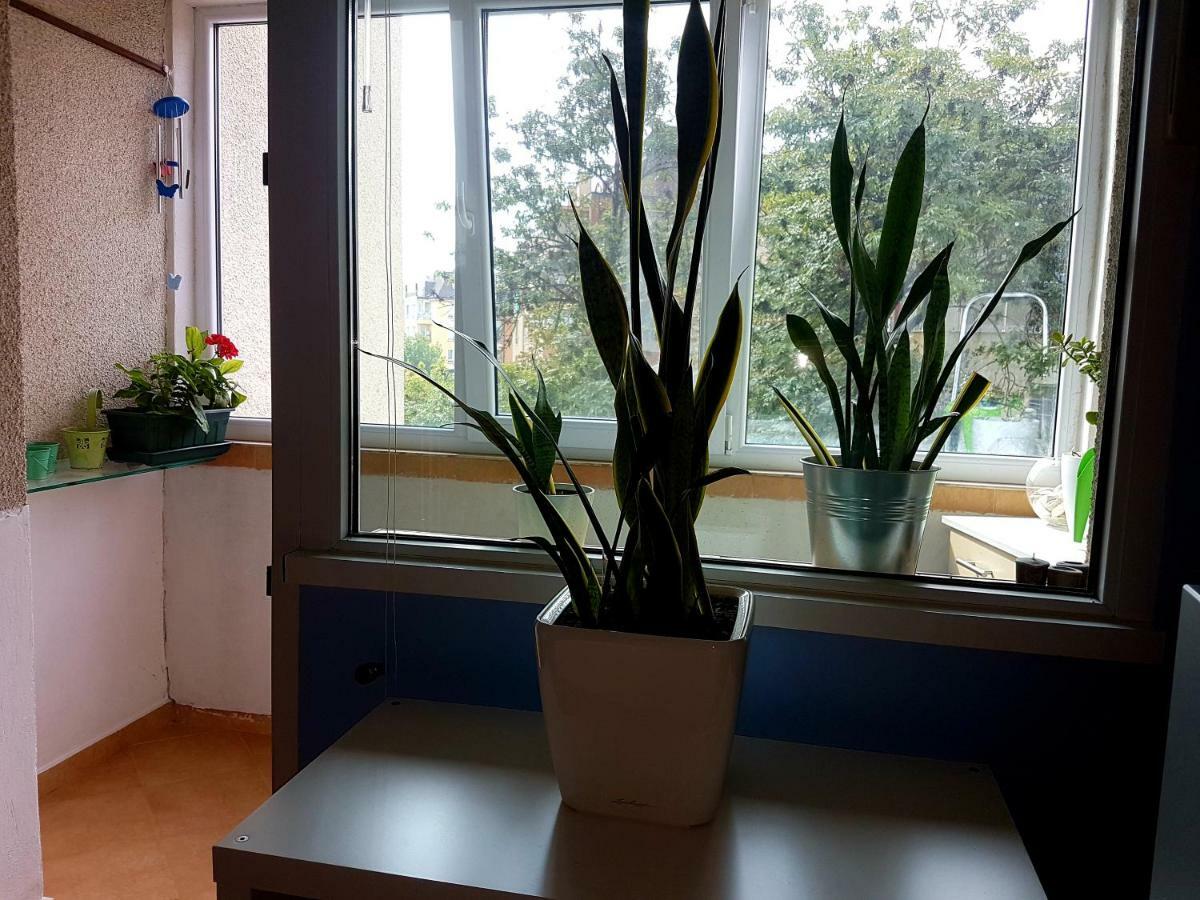 Blue Room Sofia Ngoại thất bức ảnh